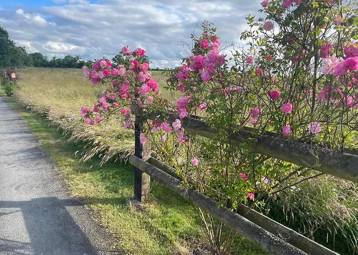 Appart\' D\'Hotes , Ch Et Gite Au Manoir De La Haute Pilais